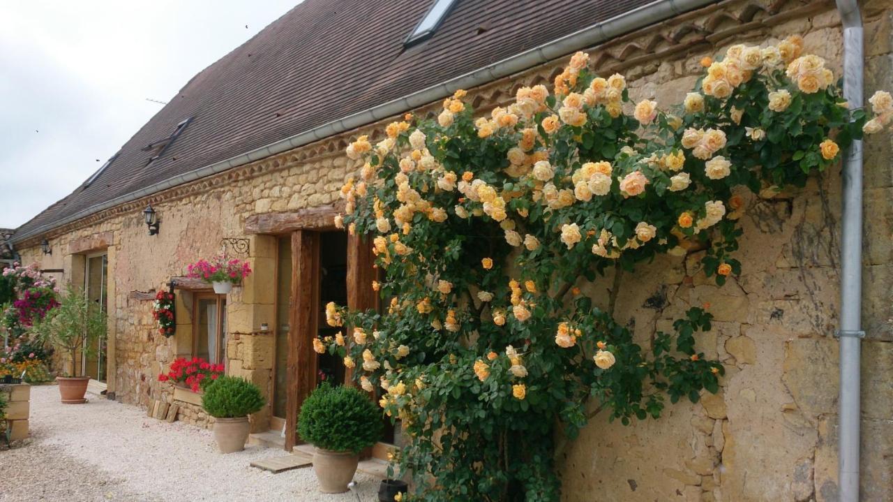 Chambre D'Hotes La Ferme De La Croix. Saint-Avit-Sénieur Exteriér fotografie