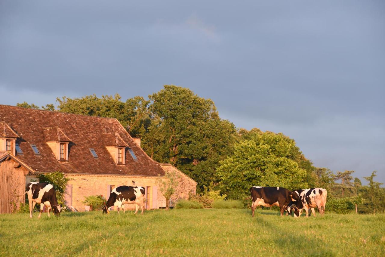 Chambre D'Hotes La Ferme De La Croix. Saint-Avit-Sénieur Exteriér fotografie