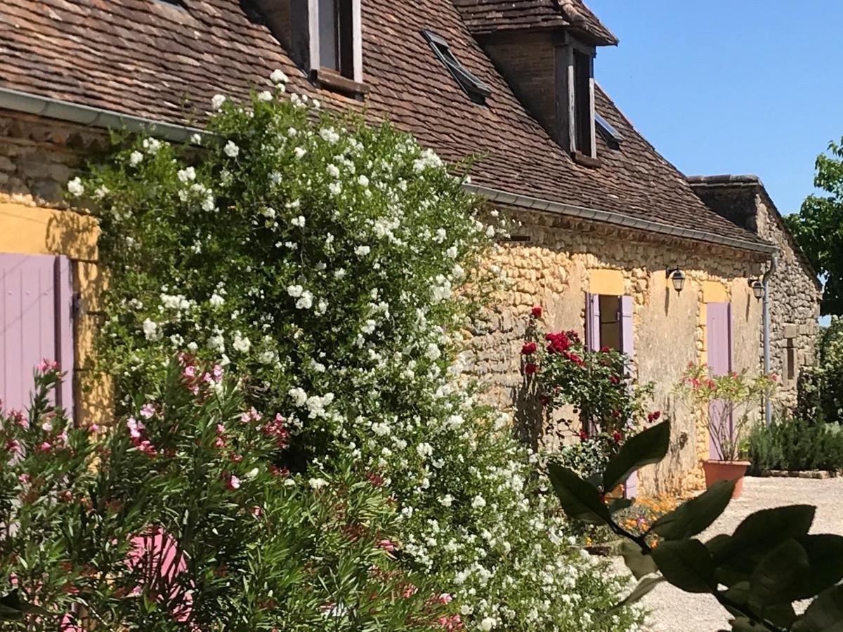 Chambre D'Hotes La Ferme De La Croix. Saint-Avit-Sénieur Exteriér fotografie